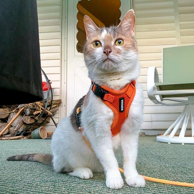 Voyager Step-in Lock Dog Harness w Reflective Dog Leash Combo Set with Neoprene Handle 5ft - Supports Small, Medium and Large Breed Puppies/Cats by Best Pet Supplies - Orange, XS
