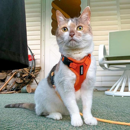Voyager Step-in Lock Dog Harness w Reflective Dog Leash Combo Set with Neoprene Handle 5ft - Supports Small, Medium and Large Breed Puppies/Cats by Best Pet Supplies - Orange, XS