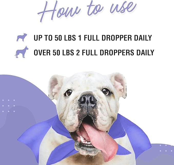 Premium DMG for Dogs – DMG Liquid to Support Immune Health, Skin, Stamina, Muscles, Stress & Performance - Dimethylglycine (DMG) for All Ages, Sizes & Breeds – 4oz