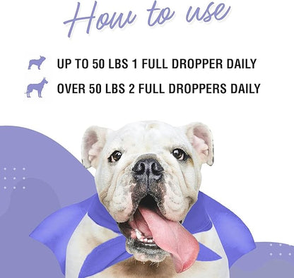 Premium DMG for Dogs – DMG Liquid to Support Immune Health, Skin, Stamina, Muscles, Stress & Performance - Dimethylglycine (DMG) for All Ages, Sizes & Breeds – 4oz