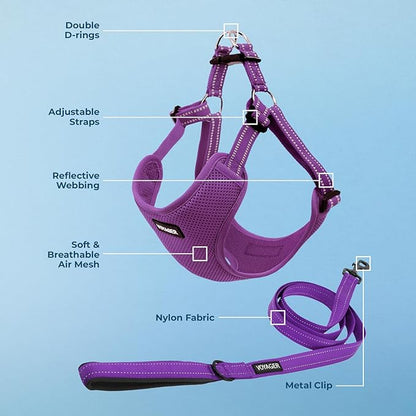 Best Pet Supplies Voyager Adjustable Dog Harness Leash Set with Reflective Stripes for Walking Heavy-Duty Full Body No Pull Vest with Leash D-Ring, Breathable All-Weather - Harness (Purple), M