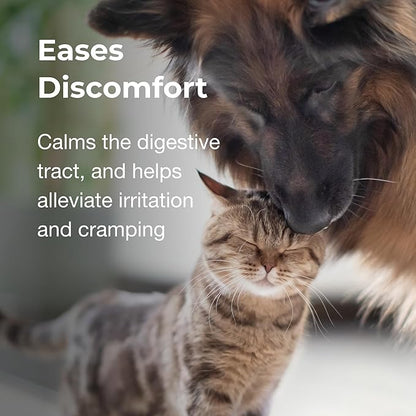 Pet-Ag Pet Pectillin Anti-Diarrheal - 4 oz, Pack of 3 - Helps Relieve Diarrhea or Loose Stool in Dogs and Cats - Replaces Lost Electrolytes - Easy to Administer