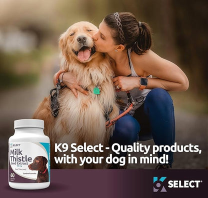 Milk Thistle for Dogs, 100mg - 60 Beef Flavored Tablets - Canine Liver Health Natural Milk Thistle Supplement - Liver Supplement - Liver Support Supplement - Milk Thistle Herbal Supplements