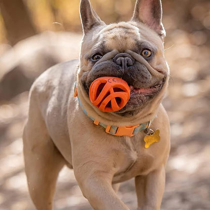 Chuckit Air Fetch Ball Dog Toy, Small (2 Inch Diameter), for dogs 0-20 lbs, Pack of 2