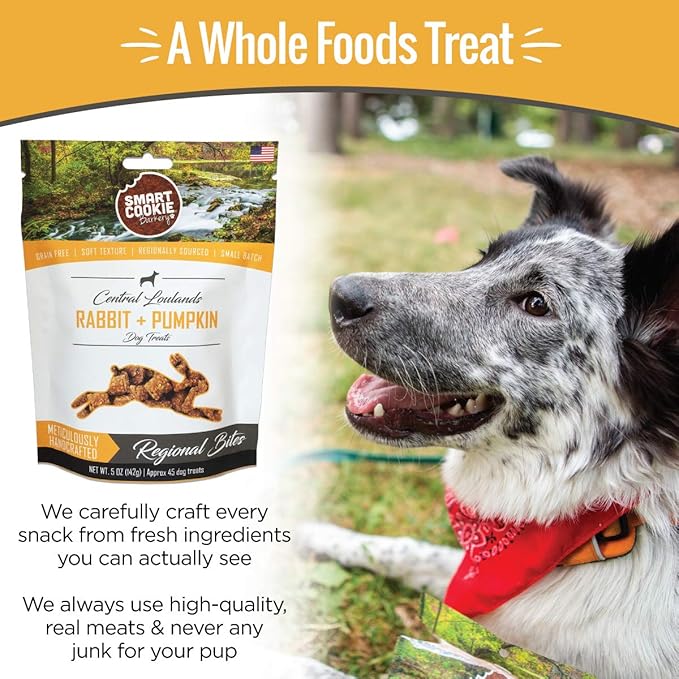 All Natural Dog Treats - Rabbit & Pumpkin - Training Treats for Dogs & Puppies with Allergies, Sensitive Stomachs - Soft Dog Treats, Grain Free, Chewy, Human-Grade, Made in USA - 5oz Bag
