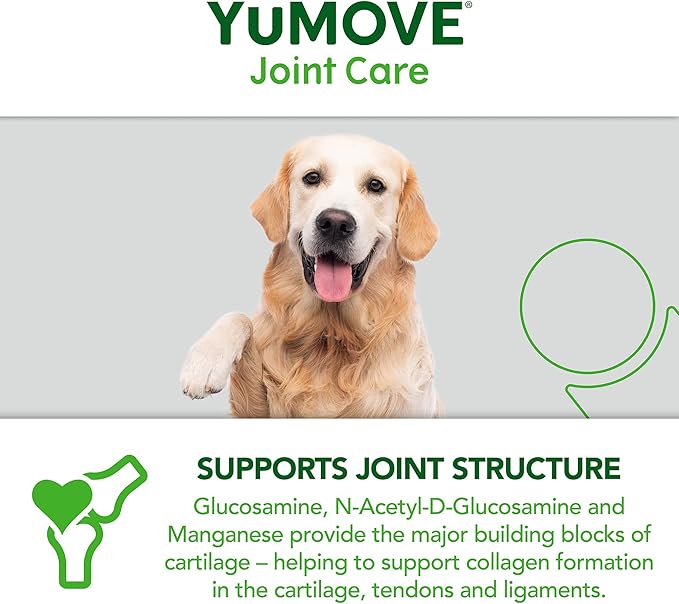 Senior Dog Tablets | Higher Strength Hip and Joint Supplement for Dogs with Glucosamine, Hyaluronic Acid, Green Lipped Mussel | Dogs Aged 8+ | 240 Tablets