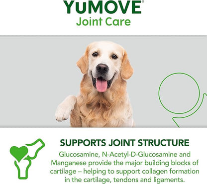 Senior Dog Tablets | Higher Strength Hip and Joint Supplement for Dogs with Glucosamine, Hyaluronic Acid, Green Lipped Mussel | Dogs Aged 8+ | 240 Tablets
