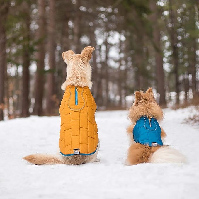 Kurgo Loft Dog Jacket, Reversible Dog Coat, Wear with Harness or Sweater, Water Resistant, Reflective, Winter Coat for Large Dogs (Coastal Blue, XL)