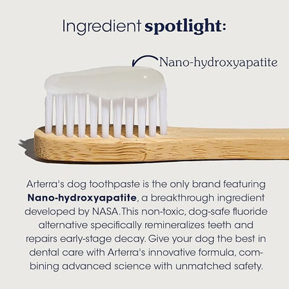 Remineralizing Dog Toothpaste – Vet-Grade, with Nano-Hydroxyapatite, Reverses Early-Stage Decay, Cleans Teeth, Removes Tartar, Freshens Breath by Arterra Pet Science, Plant-Based, Natural Flavor, 4oz