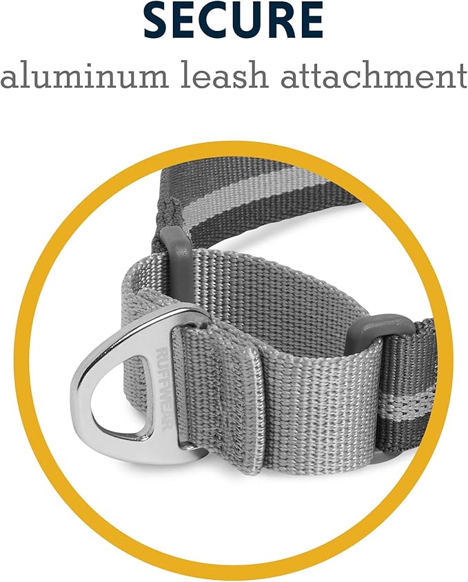 Ruffwear, Web Reaction Dog Collar, Martingale Collar for On-Leash Walking, Granite Gray, 20"-23"