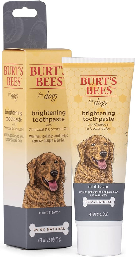 Burt's Bees for Pets Charcoal & Coconut Oil Brightening Toothpaste for Dogs with Charcoal & Coconut Oil - 99.5% Naturally Derived Dog Toothpaste in Mint Flavor - Dog Oral Care Dog Toothpaste, 2.5 Oz