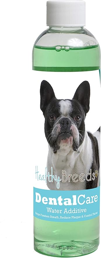 Healthy Breeds Dog Dental Care Water Additive for French Bulldog - Helps Freshen Breath, Reduce Plaque & Control Tartar - Mint Flavor - 8 oz