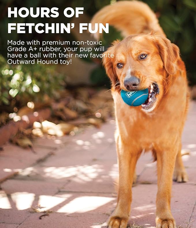 Outward Hound Tennis Ballz Fetch Dog Toy, 4-Pack