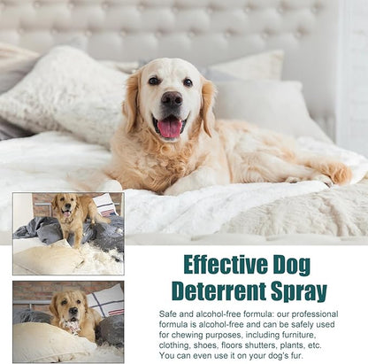 No Chew Spray for Dogs, 50ML. Bitter Apple Spray for Dogs to Stop Chewing. Dog Training & Behavior Aids. Effective Anti-Scratch Furniture Protector. Anti Chew Spray for Dogs. Indoor Outdoor Use.