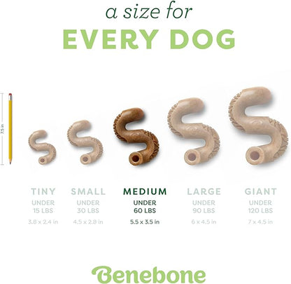Benebone Tripe Bone Durable Dog Chew Toy for Aggressive Chewers, Real Tripe, Made in USA, Medium