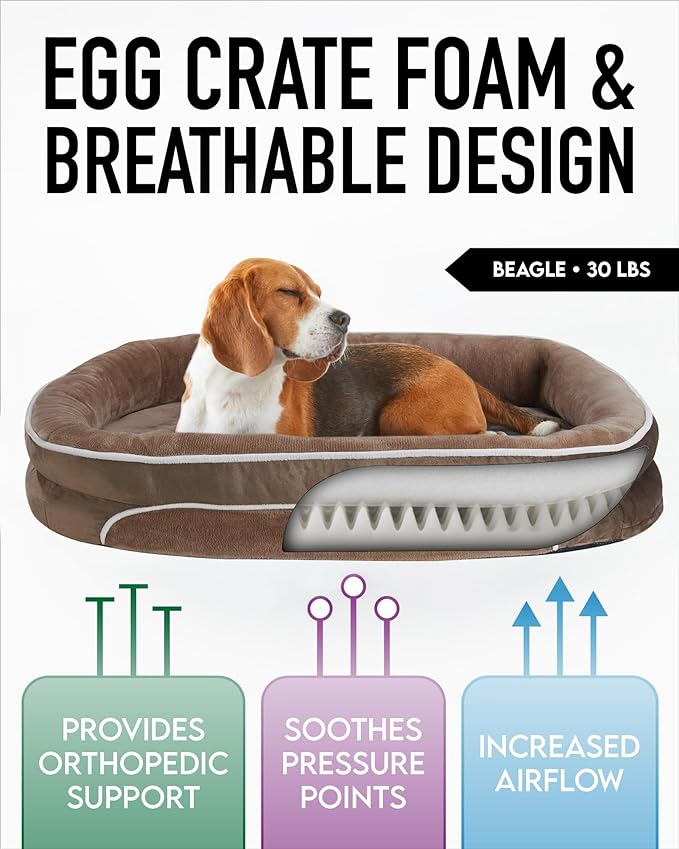 Orthopedic Dog Bed for Large Dogs, Dog Couch Design with Egg Foam Support, Removable, Machine Washable Plush Cover and Non-Slip Bottom with Four Sided Bolster Cushion (Khaki)