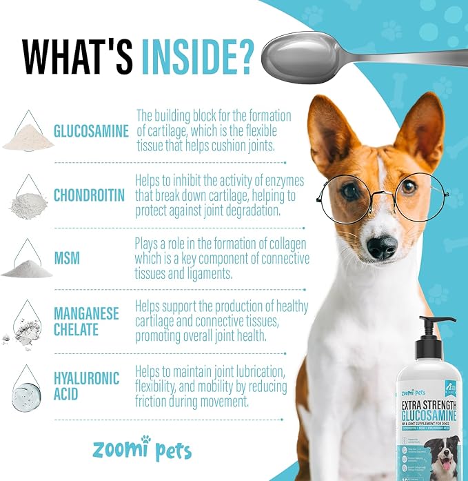 Liquid Glucosamine for Dogs (16oz) - Hip and Joint Supplement with Hyaluronic Acid, MSM, Manganese & Glucosamine Chondroitin for Dogs - Dog Joint Supplement Large Breed, Medium & Small Dogs