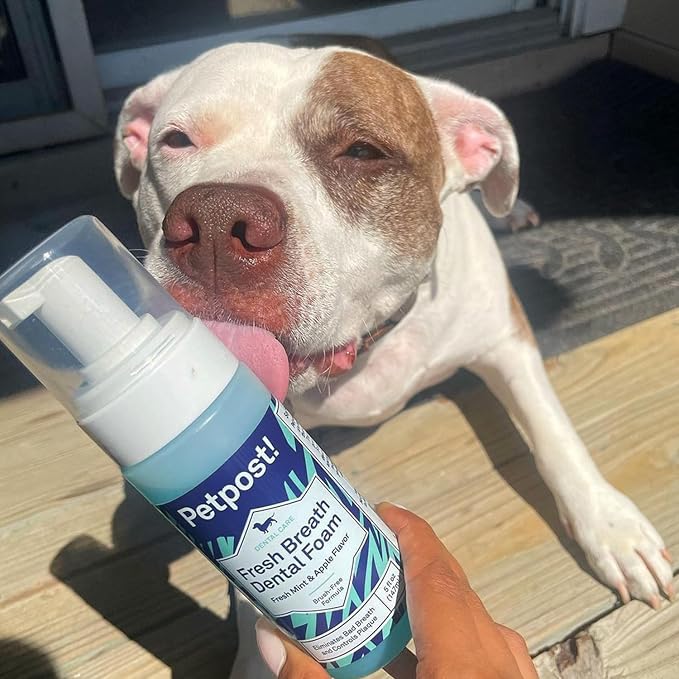Petpost | Fresh Breath Foam for Dogs - Mint & Apple Flavored Dental Solution That Eliminates Bad Breath - Natural Tooth Cleaning Treatment 5 oz.