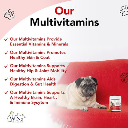 Dog Multivitamins and Supplements, Probiotics for Dogs w/Turmeric & Yucca, Probiotic Dog Chews for Brain Function, Gut & Immune Support, Joint Health & Anti-Inflammatory Supplement, 60 Chews, 8.4 oz