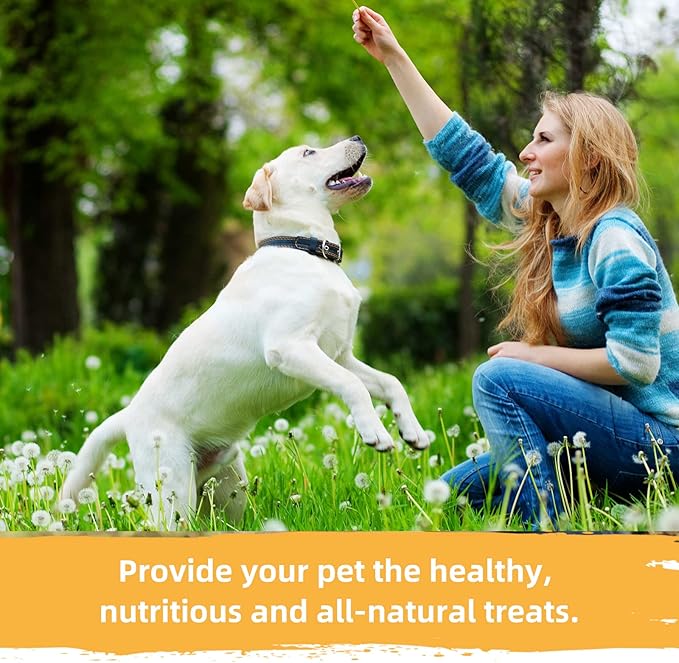 Jungle Calling Dog Treats, Chicken Chips Dog Treats, All Natural Chicken Chips for Dogs, Crunchy Chicken Jerky Dog Training Treats, Single Ingredient Dog Treats for Small, Medium & Large Dogs, 6 oz