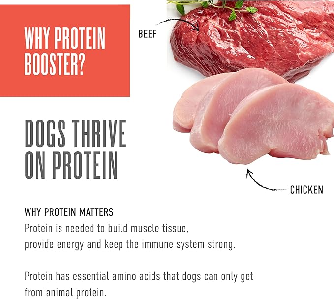 Tiki Dog Born Carnivore Protein Booster Dog Food Topper, Chicken and Beef Recipe in Broth, 2.1 oz. Pouch (12 Count)