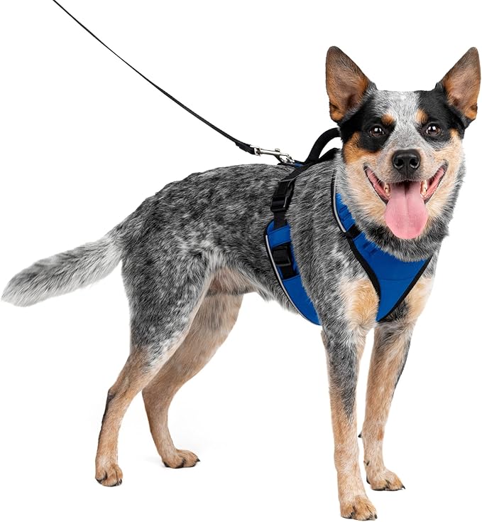 PetSafe EasySport Dog Harness – Adjustable, Padded Dog Harness with Control Handle and Reflective Piping – Medium, Blue