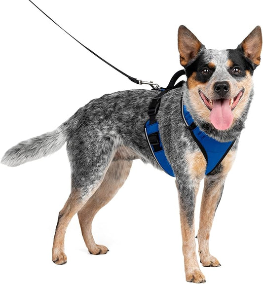PetSafe EasySport Dog Harness – Adjustable, Padded Dog Harness with Control Handle and Reflective Piping – Medium, Blue