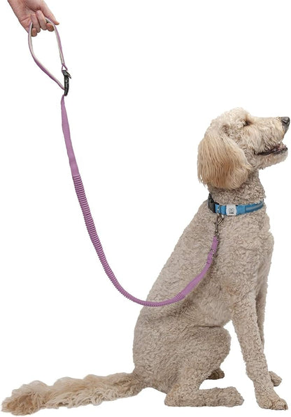 Furhaven Bungee Dog Leash w/ Quick Release Easy Tether - Lavender, One Size
