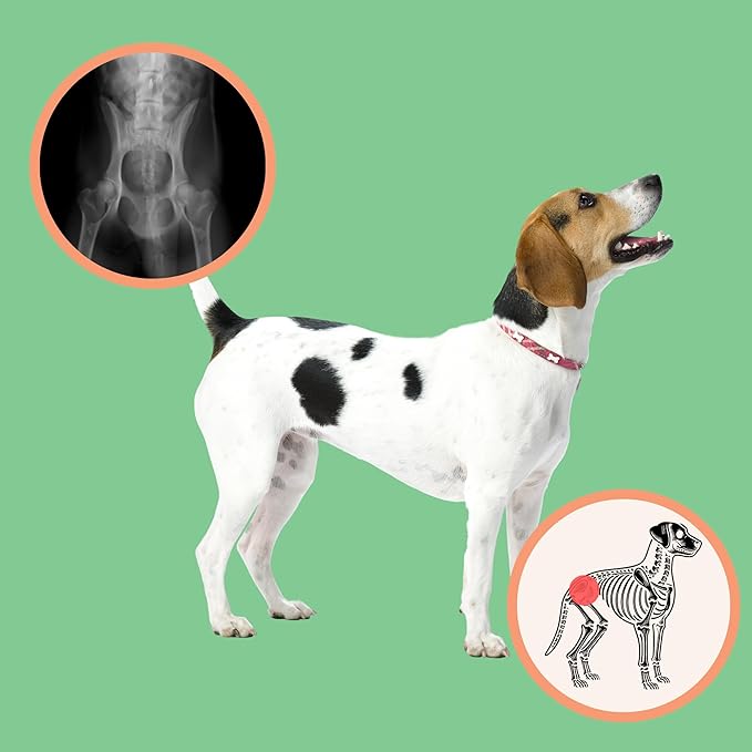 Extend - Joint Care for Dogs - 1 Month Supply - Glucosamine for Dogs with MSM & Ascorbic Acid - Pure Grade Ingredients - 100%