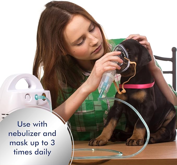PetSilver Immune Support Supplement, Promotes Respiratory Health in Cats and Dogs, Helps Cough & Allergies, Nebulizer Solution, All Natural Dog Allergy Relief, Patented Chelated Silver, 16 oz