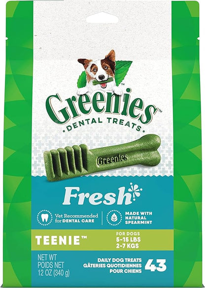 Gn Flavors Mint 12oz Teenie 43ct
