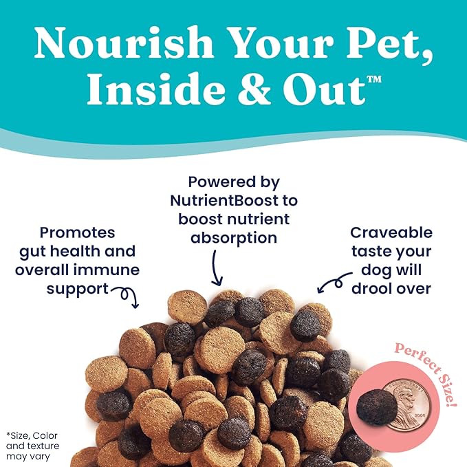 Solid Gold Dry Dog Food for Adult & Senior Dogs - Made with Real Lamb & Brown Rice - NutrientBoost Hund-N-Flocken Healthy Dog Food for Weight Management & Digestive Support