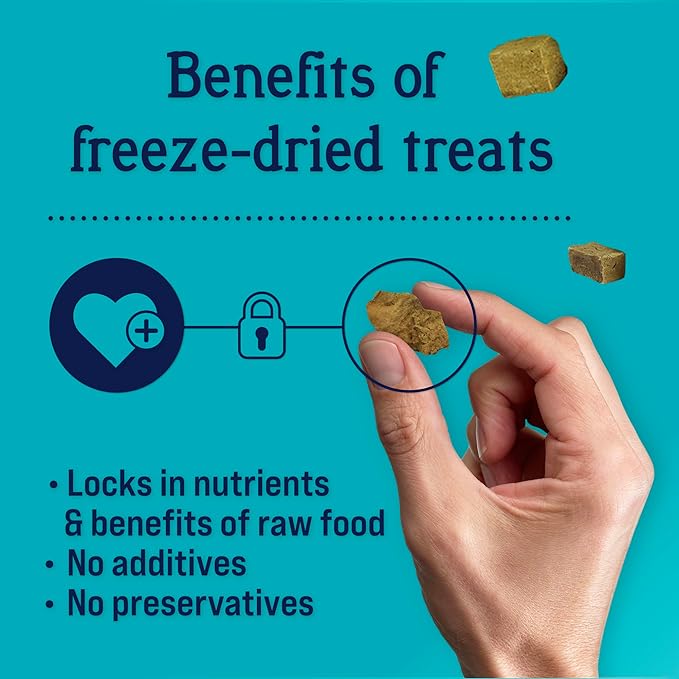 Stewart Freeze Dried Dog Treats, Chicken Liver, 11.5 oz, Grain Free & Gluten Free, Resealable Tub, Single Ingredient, training treat in Beef Liver, Salmon, Chicken Liver & Chicken Breast 4, 14, 21 oz