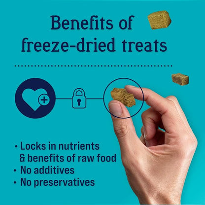 Stewart Freeze Dried Dog Treats, Chicken Liver, 11.5 oz, Grain Free & Gluten Free, Resealable Tub, Single Ingredient, training treat in Beef Liver, Salmon, Chicken Liver & Chicken Breast 4, 14, 21 oz