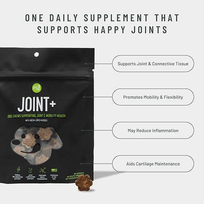 Joint+ Joint Care Dog Supplement Chews, 90 Soft Chews, Chicken Flavor, Supports Joint & Mobility Health, with Green Lipped Mussels, PhD Animal Nutritionist Formulated, Produced in USA