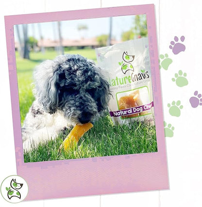 Nature Gnaws Paddywack Tendons for Dogs - Premium Natural Beef Dental Bones - Long Lasting Dog Chew Treats for Medium & Large Dogs - Rawhide Free 5-7 inch
