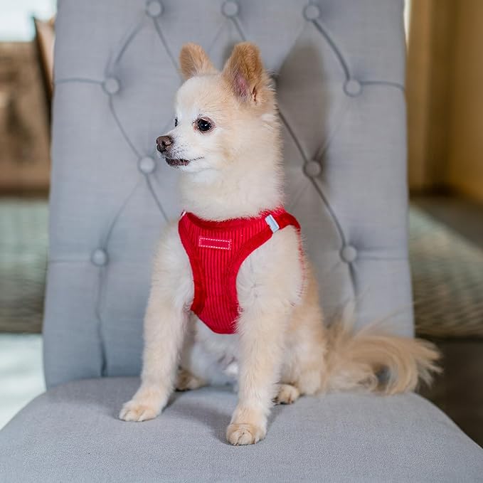 Voyager Step-in Plush Dog Harness – Soft Plush, Step in Vest Harness and Reflective Dog 5 ft Leash Combo with Neoprene Handle for Small and Medium Dogs by Best Pet Supplies -Set (Red Corduroy), XS