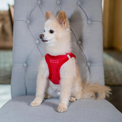 Voyager Step-in Plush Dog Harness – Soft Plush, Step in Vest Harness and Reflective Dog 5 ft Leash Combo with Neoprene Handle for Small and Medium Dogs by Best Pet Supplies -Set (Red Corduroy), XS