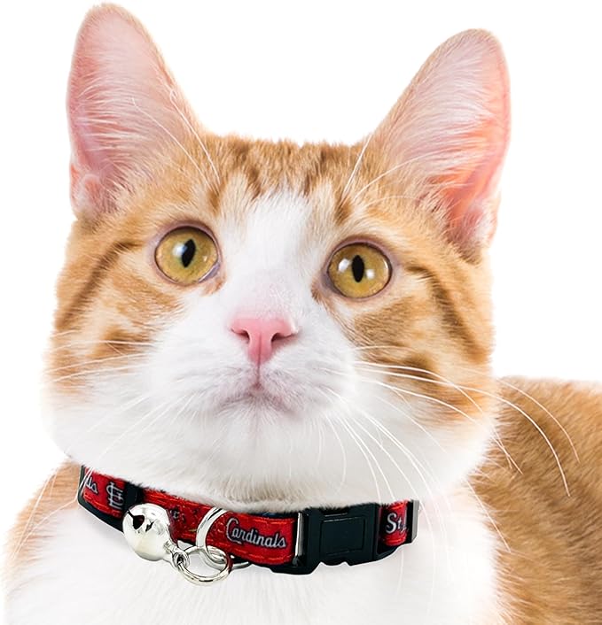 MLB CAT Collar St Louis Cardinals Satin Cat Collar Baseball Team Collar for Dogs & Cats. A Shiny & Colorful Cat Collar with Ringing Bell Pendant