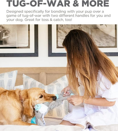 Outward Hound Scrunch Bunch Bunny Interactive Plush Squeaky Dog Tug Toy