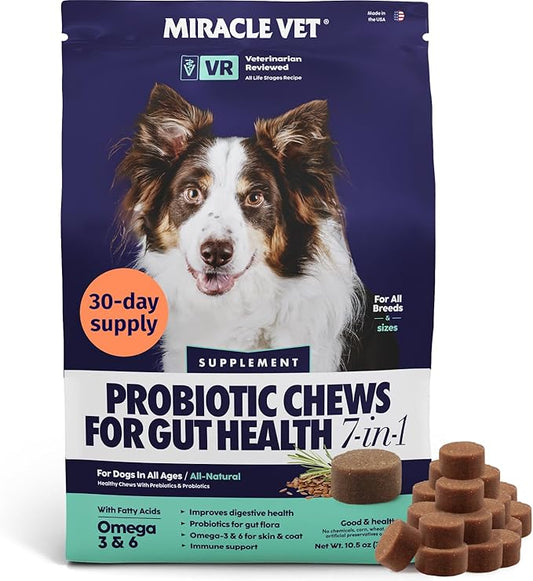 Probiotics for Dogs | Soft Dog Probiotics and Digestive Enzymes for Diarrhea, Gut Health, Itching Skin, Licking Paws | 60 Dog Probiotic Chews | Dog Health Supplies, Pet Supplies for Dogs