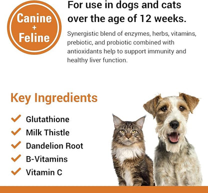 Vet Classics Liver Support Pet Health Supplement for Dogs, Cats – Liver Functions – B-Vitamins, Glutathione, Milk Thistle – Soft Tablets, Chews – 60 Chewable Tablets