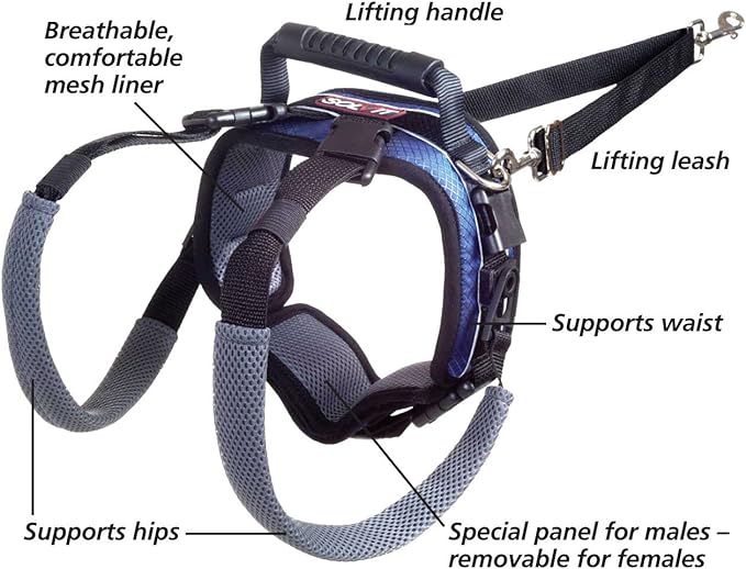 PetSafe Solvit Pet Lifting Aid for Rear Portion, Large, Black (62365)