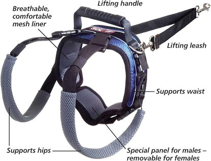 PetSafe Solvit Pet Lifting Aid for Rear Portion, Large, Black (62365)