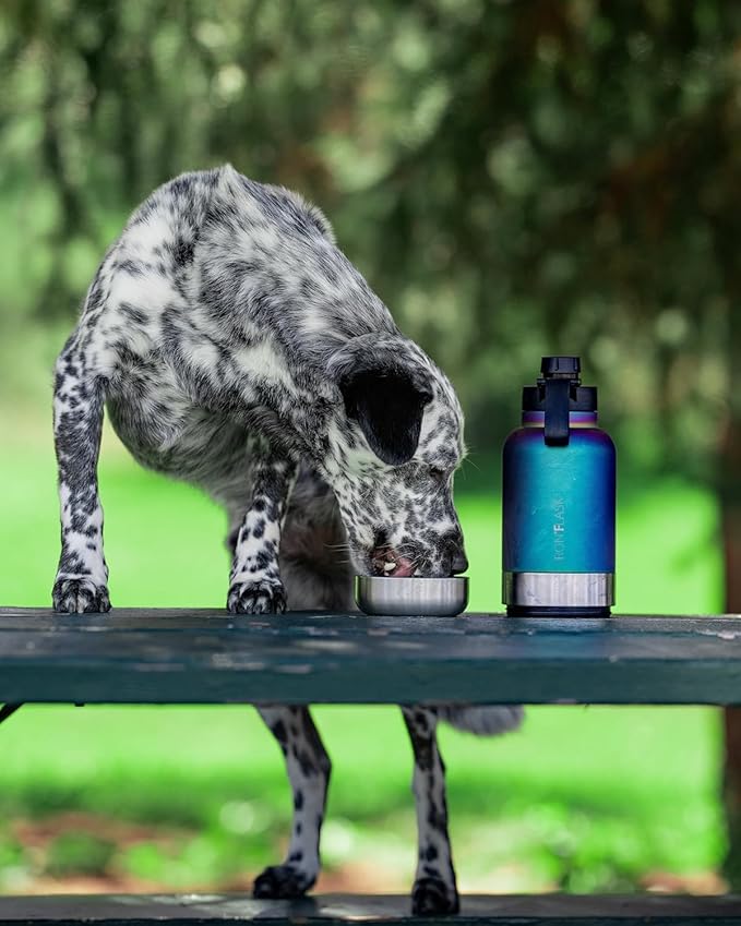 IRON °FLASK Portable Dog Water Bottle & Bowl - All-in-One Travel Accessories Pet Food & Liquids for Car, Hiking, Camping - Leak-Proof, Double Walled, Insulated - 32 oz, 2 Dog Bowls - Dark Pine