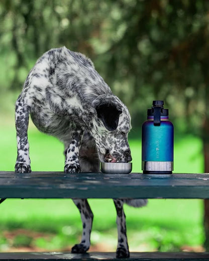 IRON °FLASK Portable Dog Water Bottle & Bowl - All-in-One Travel Accessories Pet Food & Liquids for Car, Hiking, Camping - Leak-Proof, Double Walled, Insulated - 32 oz, 2 Dog Bowls - Dark Pine