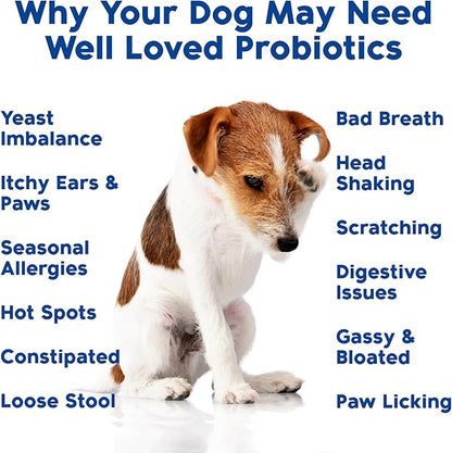 Probiotics for Dogs, Dog Probiotics and Digestive Enzymes, Made in USA, Vet Developed, Dog Probiotic Chews with Prebiotics, Diarrhea Treatment, for Itchy Skin, Gut Health & Gas Relief