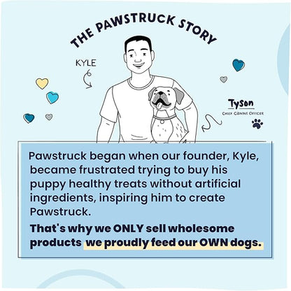 Pawstruck All Natural Air Dried Dog Food w/Real Fish- Grain Free, Made in USA, Non-GMO & Vet Recommended - High Protein Limited Ingredient Wholesome Full-Feed - for All Breeds & Ages - 2lb Bag