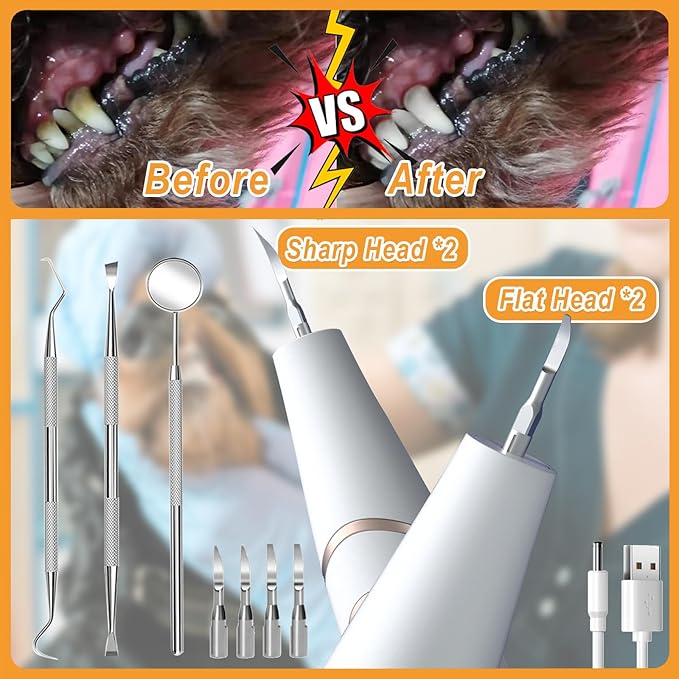 PAWZIDEA Ultrasonic Dog Tooth Cleaner 42kHz, Dog Plaque Remover for Teeth, Intelligent Tartar Remover for Dog Teeth Cleaning Kit, Canine/Cat Sonic Toothbrush Scaler Dental Care Tool, LED, Rechargeable