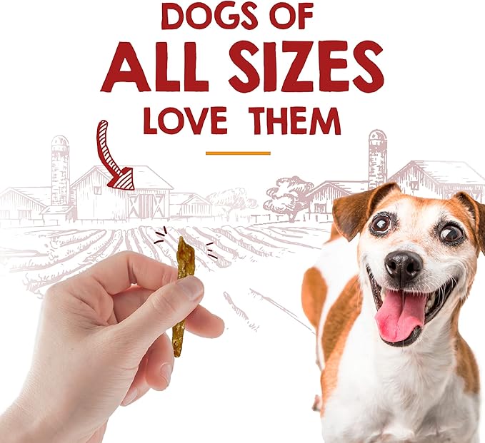 Riley's Slims Chicken Sticks for Dogs - USA Sourced Dehydrated Chicken Dog Treats - Chicken Strips Dog Jerky Treats Made in The USA - 2 Pack